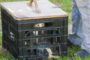 550742218_1199489635539144_5594817942799940569_n